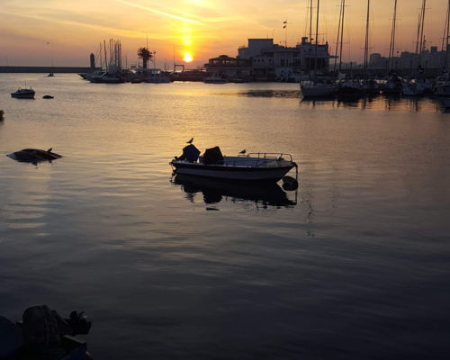 Food & Wine Tours Bari: Food tour through the streets of Bari