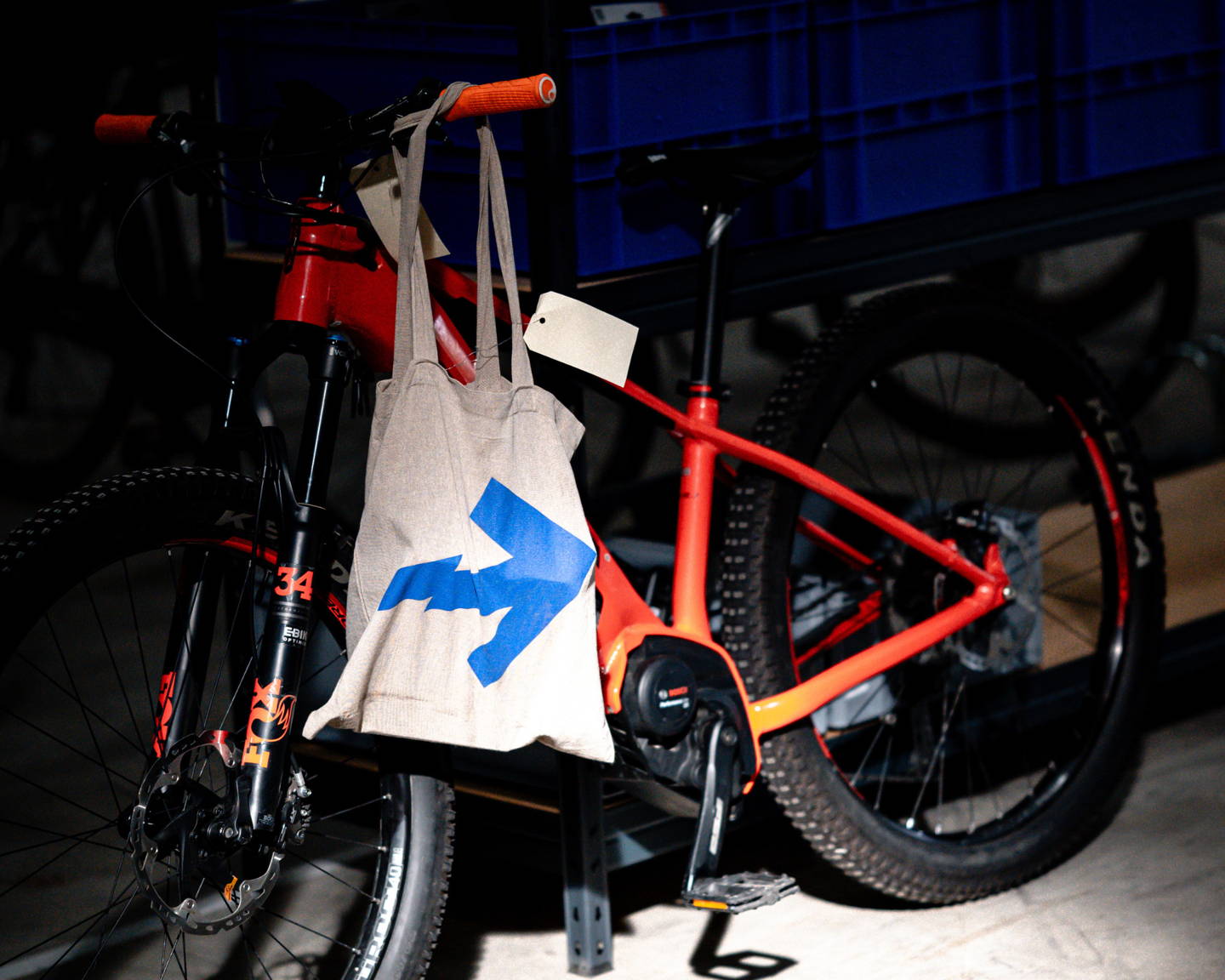 mountain bike elettrica