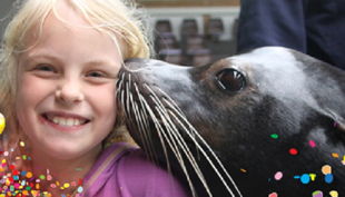 robbenhaven kind mit robbe