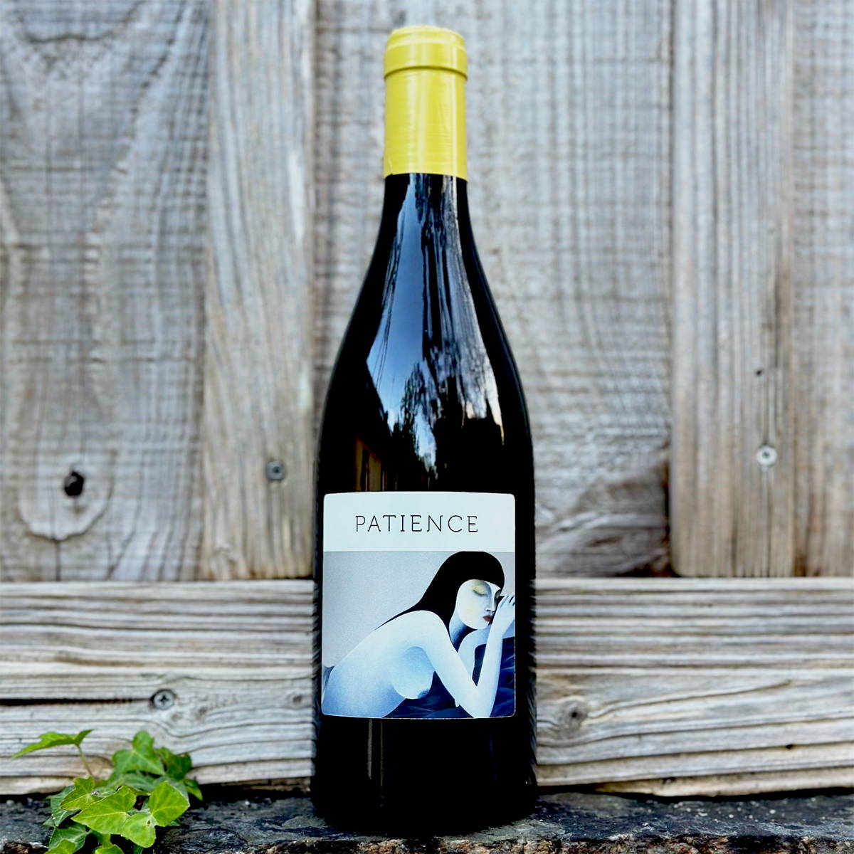 vin, rhône, les entrefaux, anne et françois tardy, domaine du minot, axel chambert, rhône sud , France, vin nature, rawwine, organic wine, vin bio, vin sans intrants, vin sans souffre, vin sans sulfites ajoutés, vin rouge, vin blanc, rouge, blanc, vin propre, vigneron, domaine bio, biodynamie, vigneron nature, vin biodynamique, raizin brut, Quimper, Finistère, Morbihan , raizin brut, erwan masse, saint-joseph