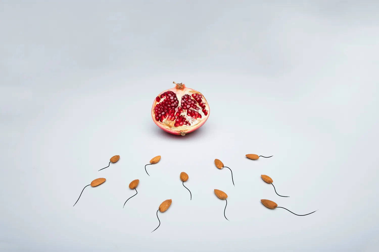 Sperm swim to the uterus for implantation
