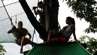 treetree entspannen auf dem baum