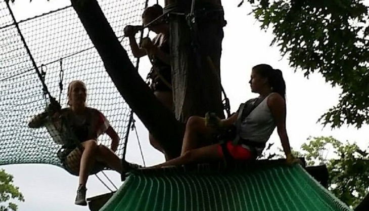 treetree entspannen auf dem baum