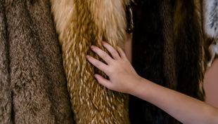 naturkundemuseum potsdam tierfelle berühren