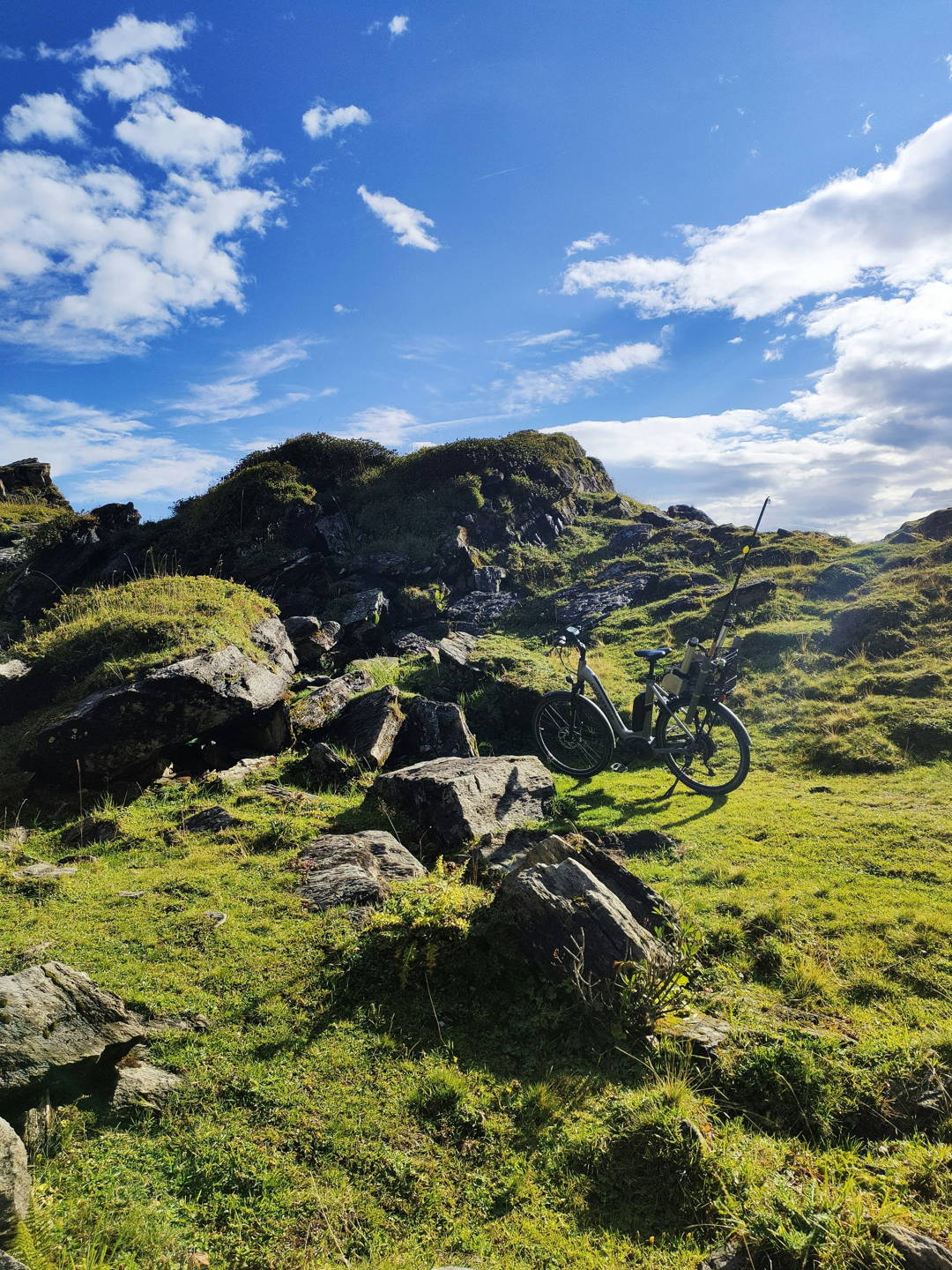 mountain bike elettrica
