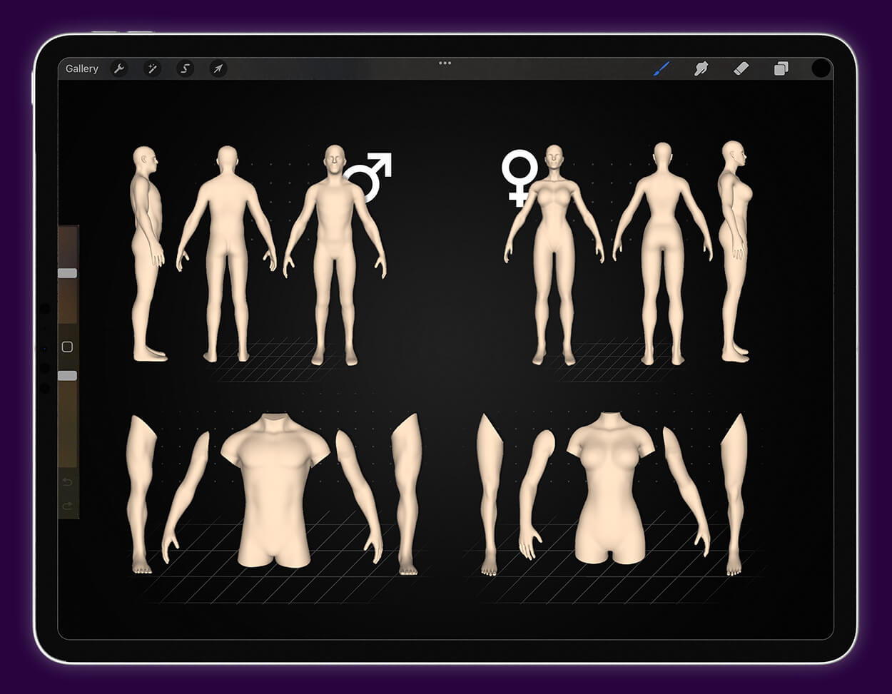 image of 3D body models available in procreate on an iPad
