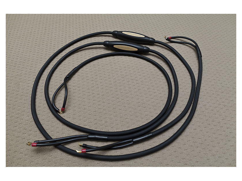 Transparent MLS12 MM2 speaker cable