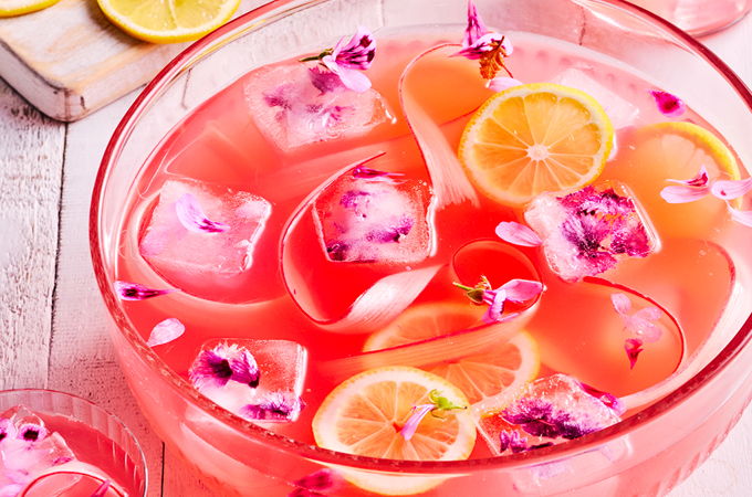 Punch à la rhubarbe et à la fleur de sureau