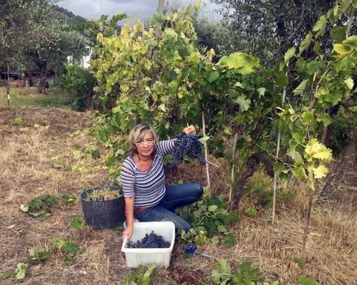 Corsi di cucina La Spezia: Tre ricette locali circondati dal verde