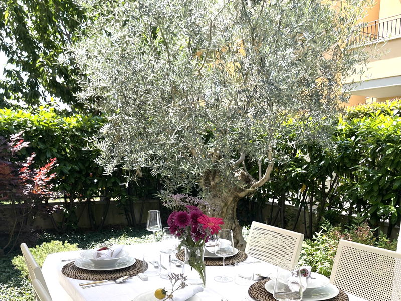 Kochkurse Santarcangelo di Romagna: Kurs über frische Pasta: Tagliatelle, Ravioli und Tiramisu 