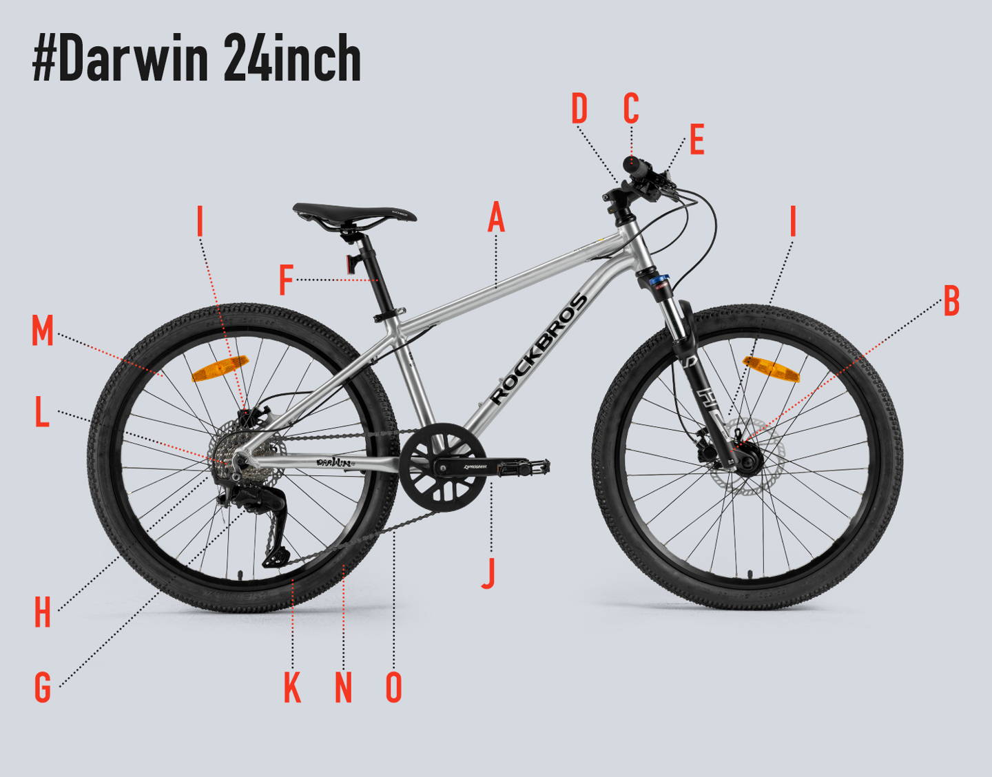 ROCKBROS キッズ ジュニア 子供用自転車 Darwin ダーウィン 24inch