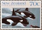orca