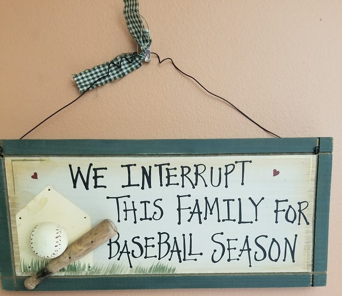 What baseball taught me …. From the stands!