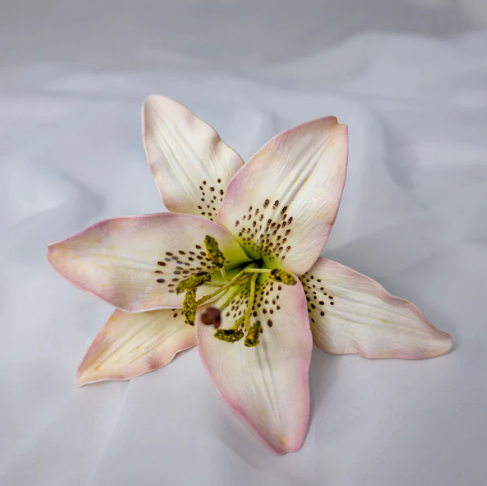 Light Pink Asiatic Lily Flowerhead - Realistic Artificial Flowers - Image 5