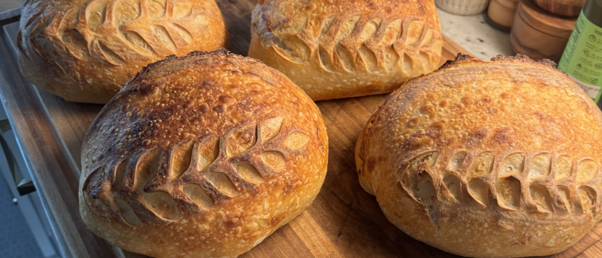 Eliana Hennessey • Organic Sourdough Microbakery — photo from hotplate.com