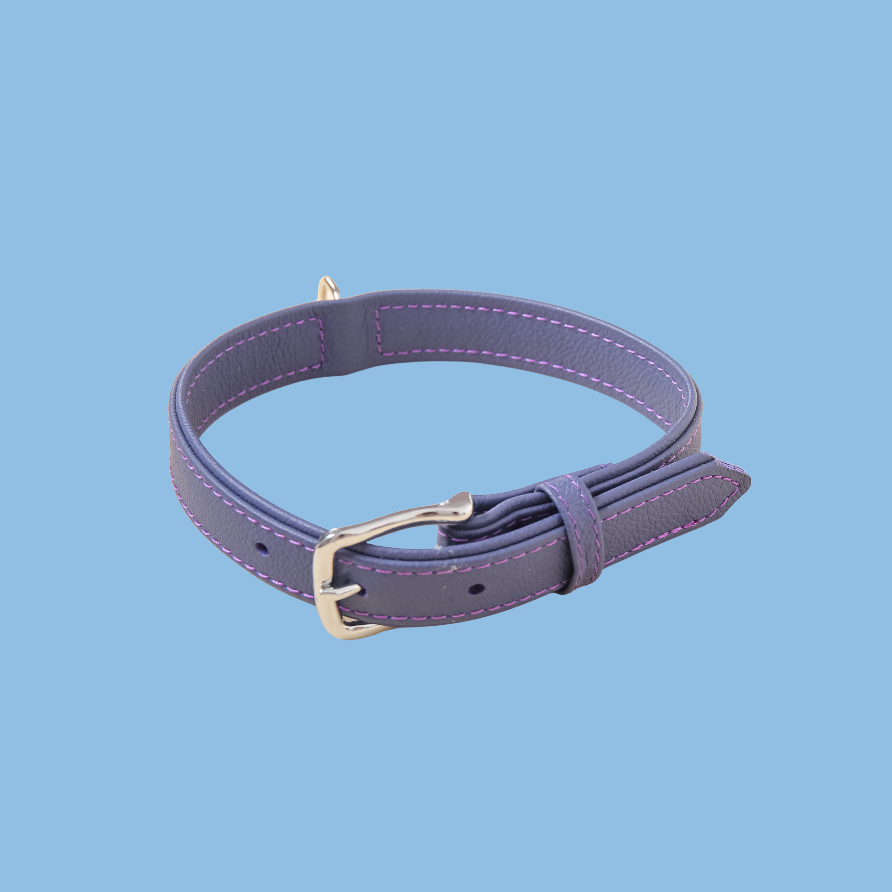 Dog Collar