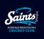 Boisdale Briagolong Cricket Club logo