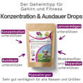 VierBeinerGlück Konzentration-Ausdauer Drops, Reine Natur, zum gesunden trainieren und belohnen, Hypoallergen