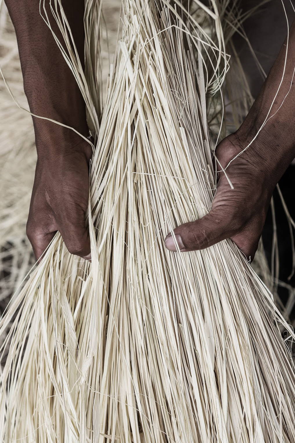 What Is Raffia Straw – Janessa Leoné