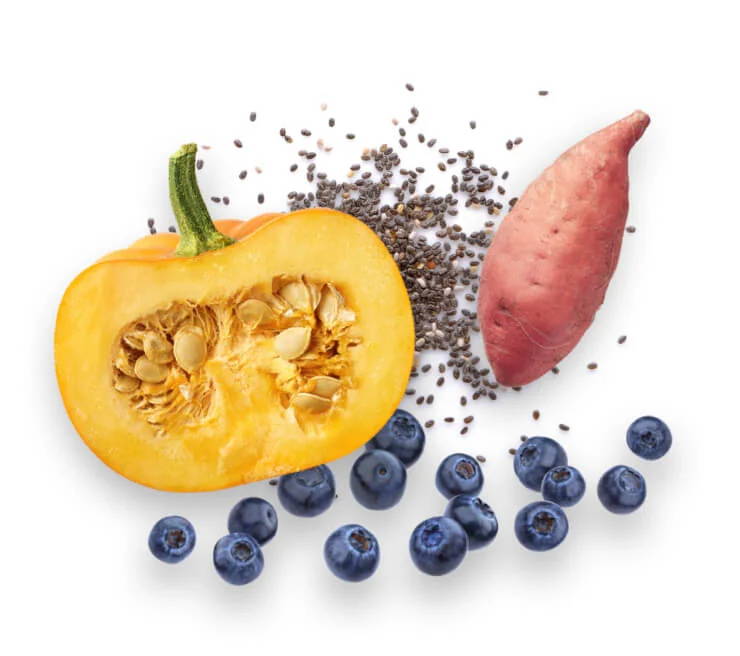 Badlands Ranch Superfood Complete PreOrder Incredible Pets