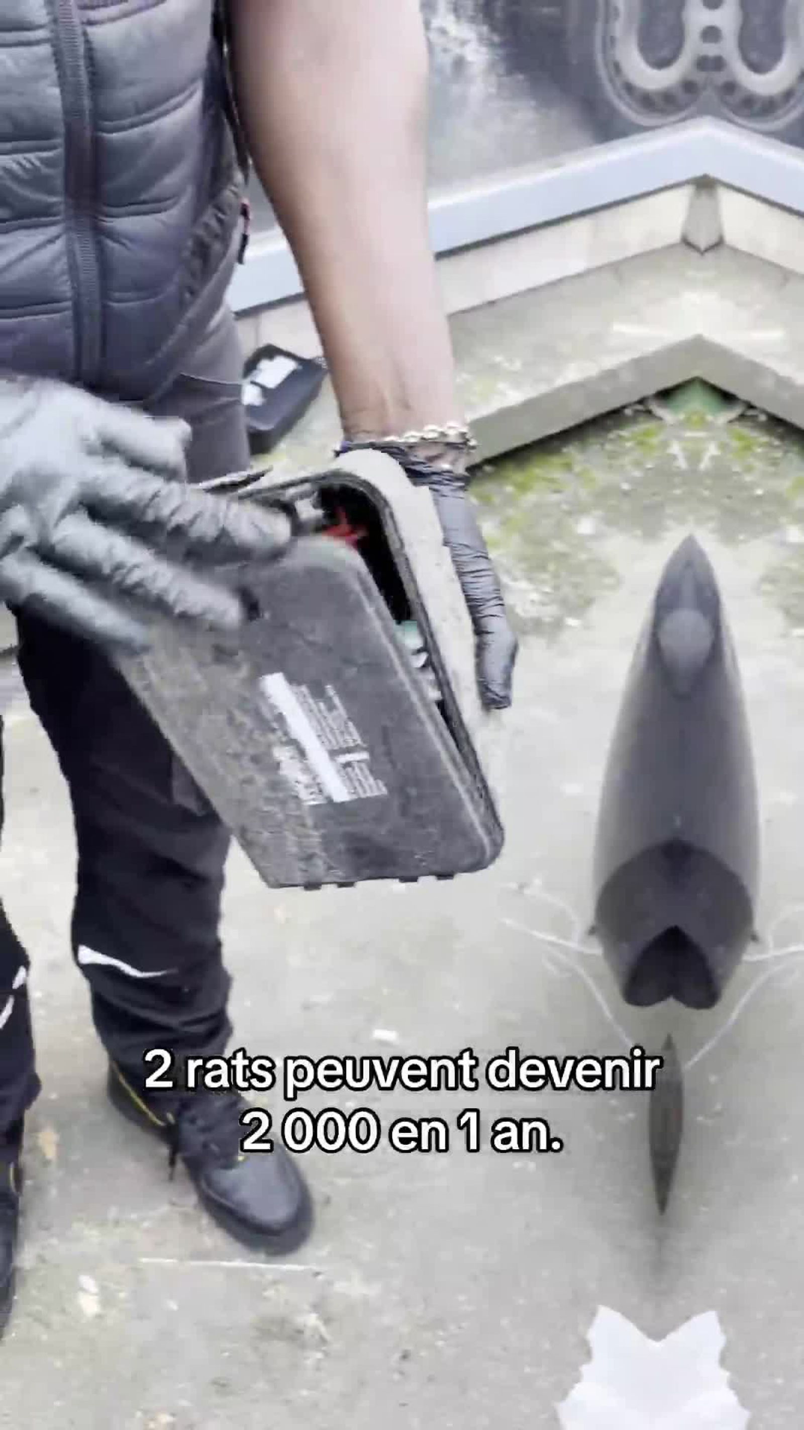 HEC : L'expertise au service de la performance des bâtiments