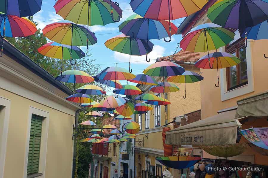 Budapest to Szentendre e-Bike Tour with a local guide - photo 6