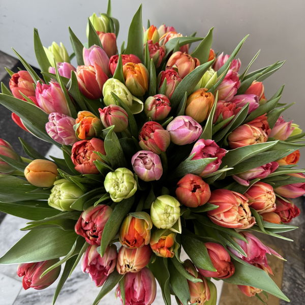 bouquet-de-30-tulipes-de-geneve