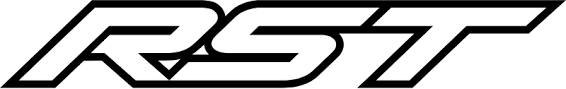 Bering Logo