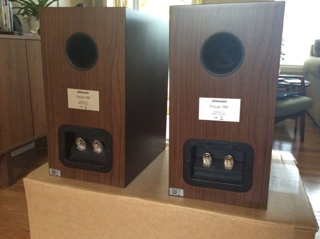 Dynaudio Focus 160 (Walnut)