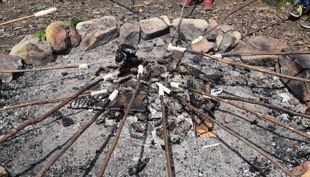 hofgut graue presse lagerfeuer mit stockbrot pb