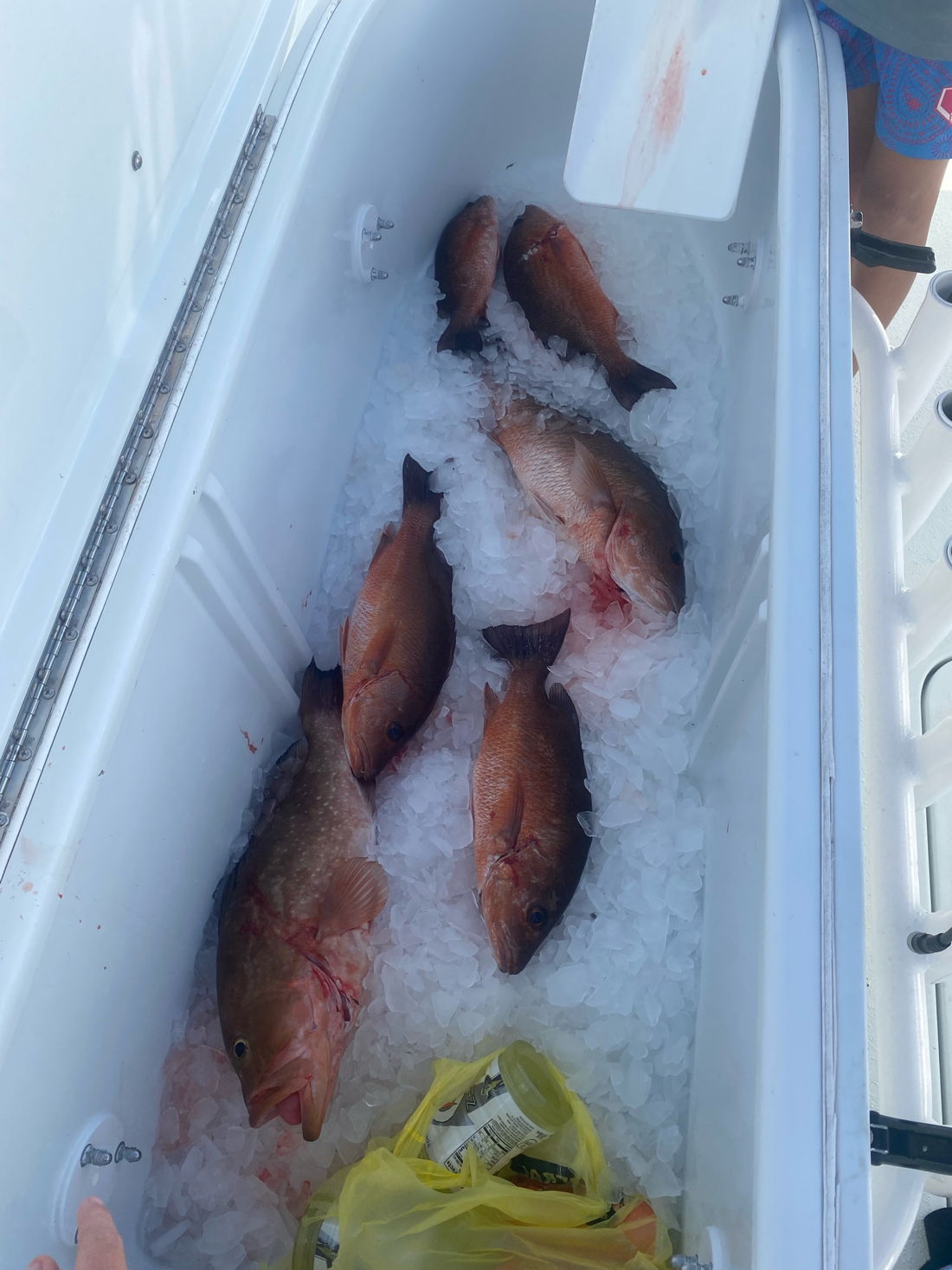 Boat Charter Destin fishing charter photo