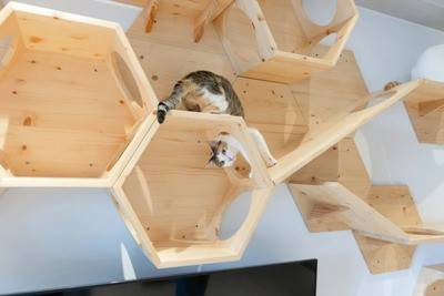 how to make diy hexagon cat shelf
