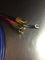 CARDAS AUDIO CLEAR PHONO CABLE - LIKE NEW 3