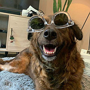 Chance's Toys and Treats Fund