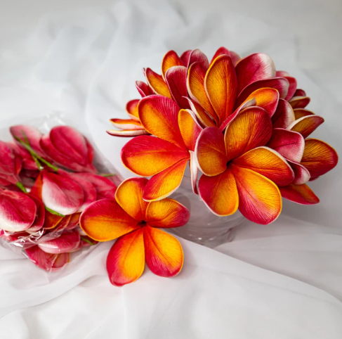 Tropical Frangipani Flowerhead ( 6 Pack ) - Realistic Artificial Flowers - Image 4