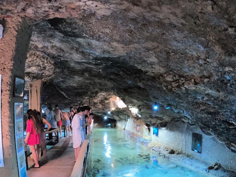 acuario ibiza 2025