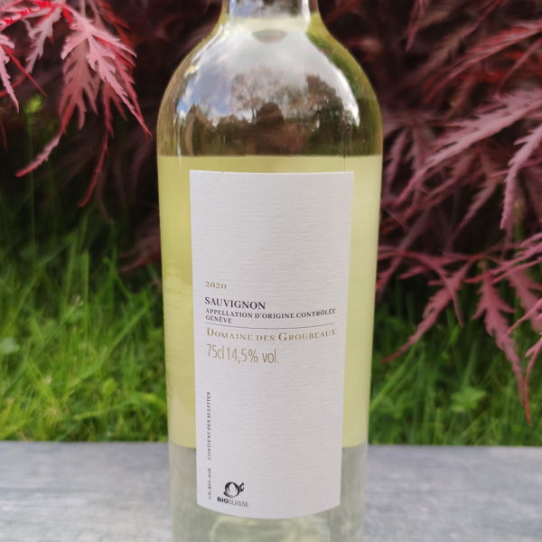 sauvignon-blanc-domaine-des-groubeaux-corsier