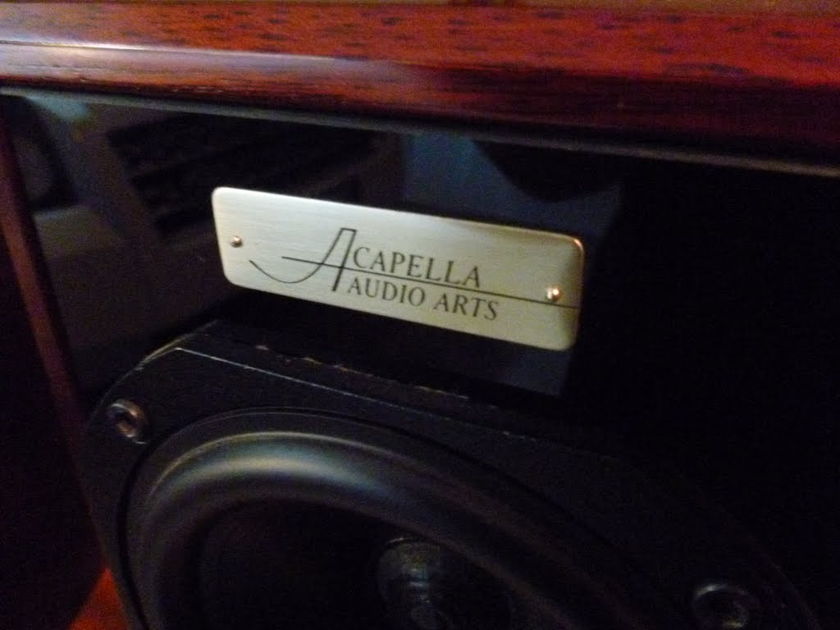 ACAPELLA FIDELIO BEST MONITORS AUCTION VERY RARE 10000 $ LIST PRICE BETTER THAN ROGERS DUETTE