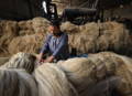 How linen is made from flax