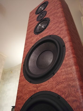 Custom Speakers Super Echelon Ultra High End Custom Spe...
