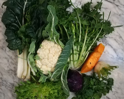 Food experiences Buti: Smells and Tastes of the Garden