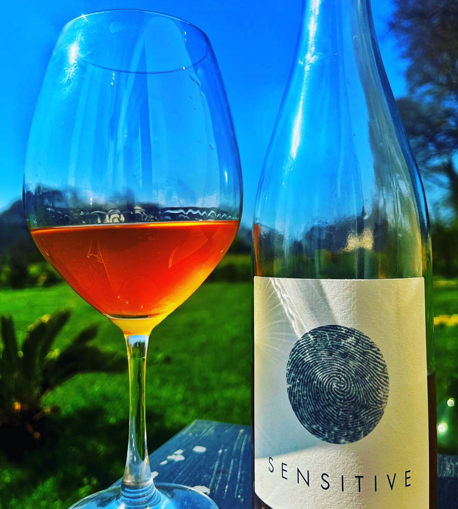 France, vin nature, rawwine, organic wine, vin bio, vin sans intrants, vin sans souffre, vin sans sulfites ajoutés, vin rouge, vin blanc, rouge, blanc, vin propre, vigneron, domaine bio, biodynamie, vigneron nature, vin biodynamique, raizin brut, Quimper, Finistère,distributeur, agent, vrp, gurwan, gurwan le gouil, Raizin Brut, vignerons  