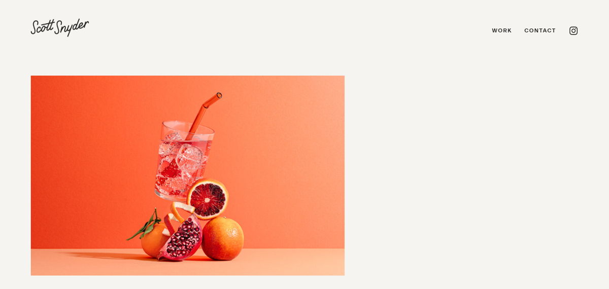 Screenshot of Scott Snyder, from the squarespace photography websites collection.