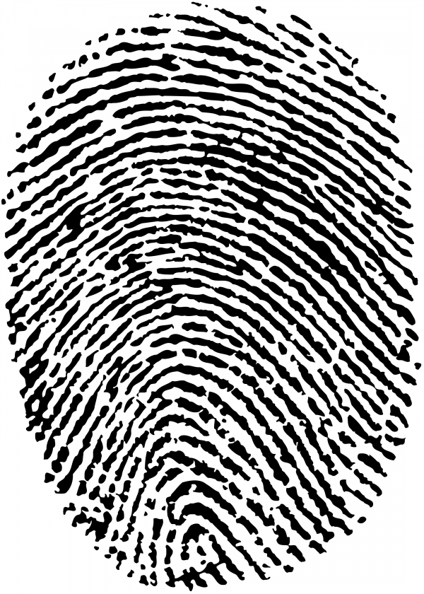 Векторный отпечаток пальца и в формате png с большим разрешением