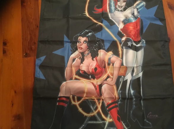 5x3 ft. Harley Quinn Batman Mancave Idea - Image 3