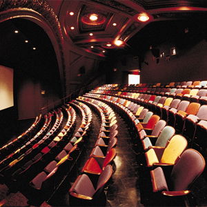 BAM Membership for plays, movies, etc.