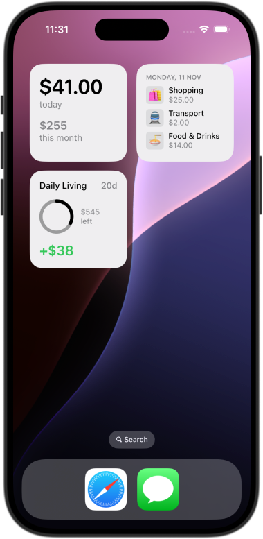 Screenshot of CashJot widgets in iPhone home screen