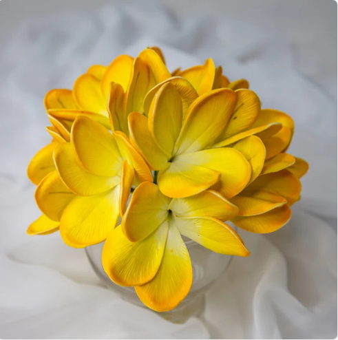 Tahitian Gold Frangipani Flowerhead (6 Pack) -Realistic Artificial Flowers