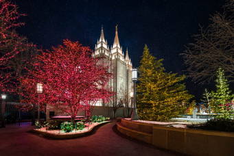 Salt Lake Temple and grounds glowing with Christmas lights. 
