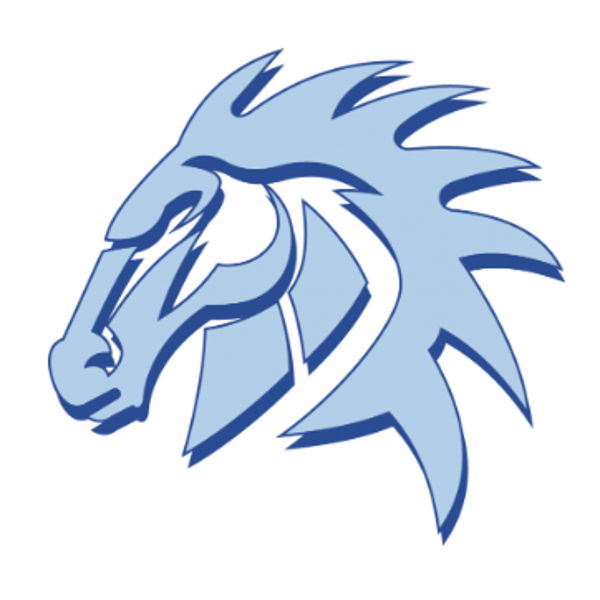 Madison Mustangs PTA